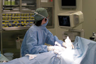肝臓内科の手術風景